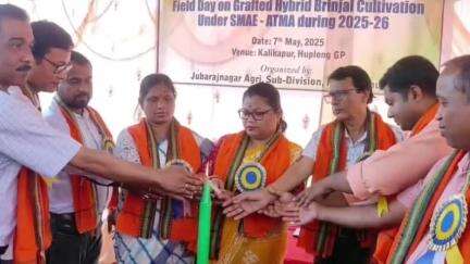 ধর্মনগর: হাফলং গ্রাম পঞ্চায়েতের অধীনে কালিকাপুরে "কলম করা বেগুন চাষের মাঠ দিবস" শীর্ষক এক অনুষ্ঠান অনুষ্ঠিত হয়