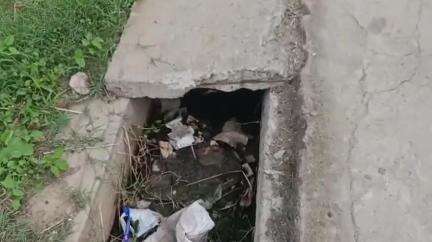 भंडारा: डासांचा प्रादुर्भाव रोखण्यासाठी नाल्यांची सफाई व धुर फवारणी करावी, शहर वार्ड तुमसर येथील नागरिकांची मागणी #Jansamasya