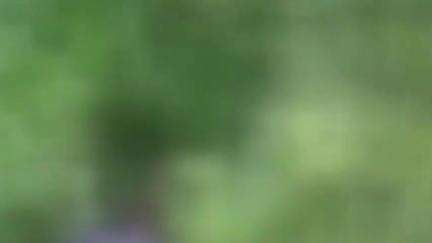 തൃശൂർ: കല്ലൂരിൽ കാനയിൽ വയോധികനെ മരിച്ച നിലയിൽ കണ്ടെത്തി