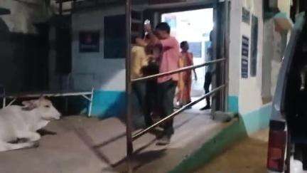 হবিবপুর: হবিবপুর এলাকায় সাপের কামড়ে জখম এক গৃহবধূ,রেফার মালদা হাসপাতালে