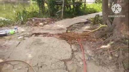 মথুরাপুর ১: নালুয়া অঞ্চলের কাকপুকুর গ্রামে বেহাল রাস্তা সমস্যার সম্মুখীন হচ্ছে প্রতিনিয়ত এলাকাবাসীরা#jansamasya