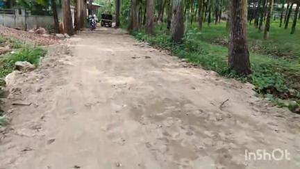 നിലമ്പൂർ: റോഡിനായി അധികാരികൾക്ക് മുൻപിൽ കയറിയിറങ്ങി കവള മുക്കട്ട മാനുപ്പൊട്ടി നിവാസികൾ 
#localissue
