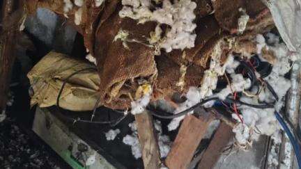 सोयगाव: तालुक्यातील बनोटी येथे आसमानी बीच कडून दोन लाख किमतीचे सामान जळाले तर घरातील अडचण बालबाल वाचले