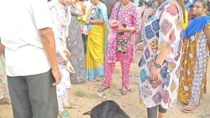 মেদিনীপুর: অসুস্থ পথ কুকুর ও অবলা প্রাণীদের জন্য বিশেষ আবাসন তৈরি শুরু হল, শিলান্যাস করলেন সাংসদ জুন মালিয়া