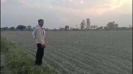 जलेसर: पीड़िता ने थाना अवागढ़ में शिकायत की, नामजद लोगों ने खेत में मूंग की फसल को ट्रैक्टर से जोता