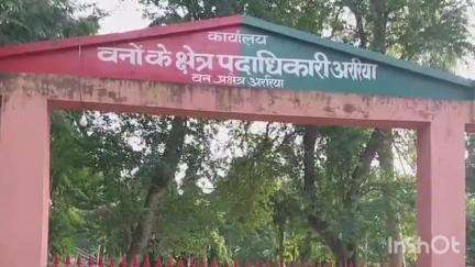 अररिया: अररिया में वन विभाग ने बड़ी कार्रवाई करते हुए 2.157 किलो कोबरा सांप का विष जब्त किया, 6 तस्कर गिरफ्तार