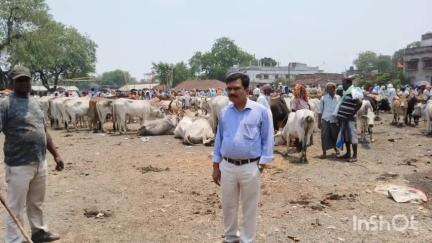 हिरणपुर: सीओ ने बकरी हाट के लिए निर्दिष्ट स्थल का निर्देश दिया