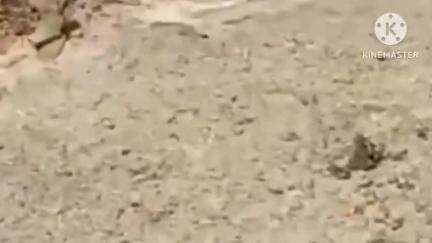 मंठा: तळणी येथील शेतकऱ्यांच्या गोठ्याला आग ,चार लाख रुपयाचे साहित्य जळून खाक