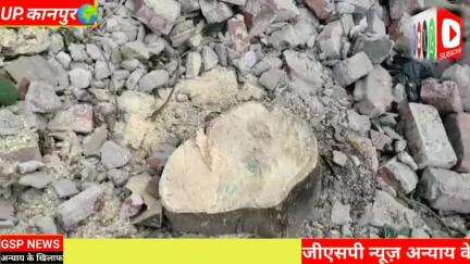 घाटमपुर 
काटे गए पीपल के हरे पेड़ मौके पर पहुंची वन विभाग