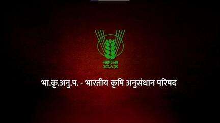 विकसित कृषि संकल्प अभियान’: वैज्ञानिकों व अफसरों संग खेतों तक पहुंचेगी खरीफ की तैयारी और समाधान।

#AgriGOI #Kharif2025