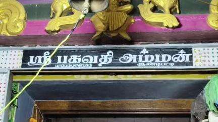 ஆண்டிப்பட்டி: பாப்பம்மாள்புரம் பகவதி அம்மன்கோவில்சித்திரை திருவிழா 200-க்கும் மேற்பட்டோர் அலகு குத்தி பால்குடம் ஏந்தி நேர்த்தி கடன் செலுத்தினர்