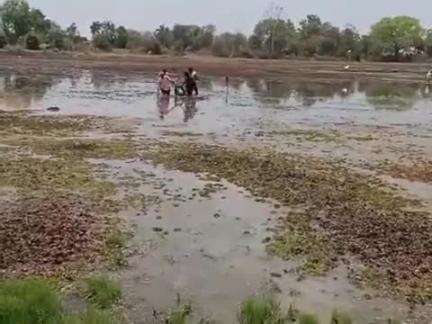 सिहोरा: ग्राम नुंजा में मछली पकड़ने गए व्यक्ति की तालाब में डूबने से हुई मौत, मृतक को पड़ते थे मिर्गी के दौरे