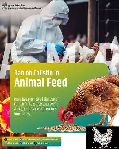 India has taken a strong step to combat Antimicrobial Resistance (AMR) by banning the use of colistin in animal feed. This move helps prevent antibiotic misuse in livestock and ensures safer, healthier food for all.
#AMR #AnimalHealth