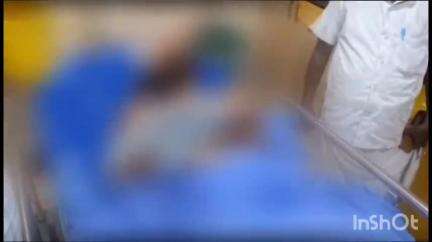 ആലുവ: കാലടി പ്ലാന്റേഷൻ കല്ലാല എസ്റ്റേറ്റിൽ സ്കൂട്ടറിൽ സഞ്ചരിച്ച ദമ്പതികളെ കാട്ടുപന്നിക്കൂട്ടം ഇടിച്ചിട്ടു