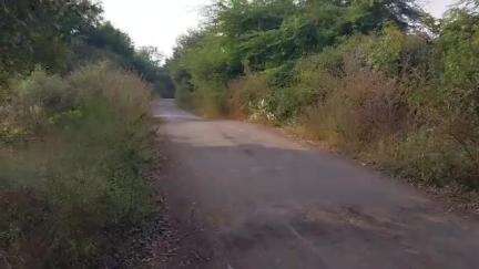 रावेर: पुनखेडा शेत शिवारातून एका १५ वर्षीय अल्पवयीन मुलीला अज्ञात व्यक्तीने फुस लावून नेले पळवून, रावेर पोलिसात गुन्हा दाखल