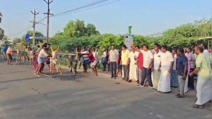 விளாத்திகுளம்: மதுரை மெயின் சாலையில் மீனாட்சி அம்மன் கோவில் திருவிழாவை முன்னிட்டு மாட்டுவண்டி பந்தயம் எம்எல்ஏ துவக்கி வைத்தார்
