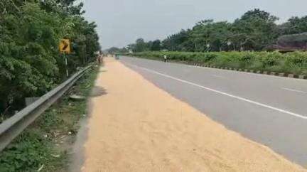 আলিপুরদুয়ার ২: ৩১ নম্বর জাতীয় সড়কের শামুকতলা রোড থেকে চেপানী পর্যন্ত  দখল হয়ে যায় ভুট্টা শুকানোর জন্য