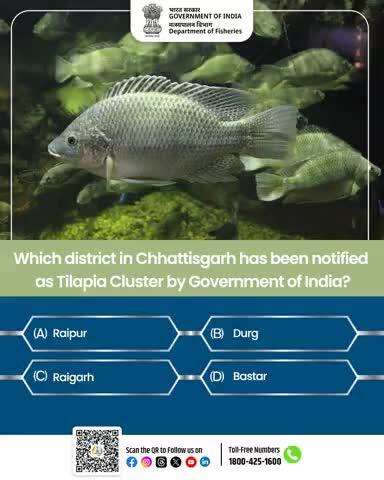 Quiz Time!
Do you know which district in Chhattisgarh has been notified as a Tilapia Cluster by the Government of India?