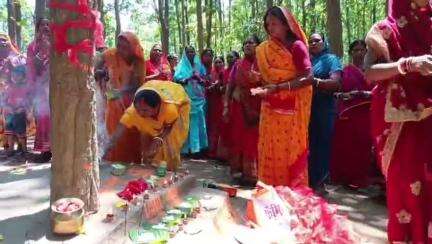 टाटीझरिया: होलंग के ग्रामीणों ने मठवा जंगल में पूजा-अर्चना कर पर्यावरण संरक्षण का लिया संकल्प, मनाई गई 28वीं वर्षगांठ