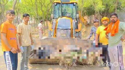 गन्नौर: ट्रेन की चपेट में आने से सांड की मौत, गोरक्षा दल ने रेलवे पर लापरवाही का आरोप लगाया