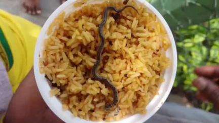 ஓசூர்: மலைக்கோவில் பிரசாதத்தில் பாம்பு குட்டி இருந்த விவகாரம் உரிய விளக்கம் அளிக்க ஒசூர் சாராட்சியரிடம் மனு அளித்த இந்து ஜனசேனாவினர்