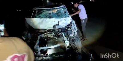 धामपुर: शेरकोट क्षेत्र में NH74 पर तिरंगा होटल के पास तेज रफ्तार कार से निराश्रित गोवंश की टक्कर, गोवंश और कार चालक घायल
