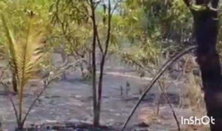 सावंतवाडी: न्हावेली चौकेकारवाडी येथे शॉर्टसर्क होऊन काजू बाग जळून खाक;  90 लाखाचे नुकसान