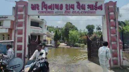 નાંદોદ: રાજપીપળામાં આવેલ પબ્લિક ગાર્ડનમાં બે થી ત્રણ દિવસથી પાણી ભરાઈ જતા સ્વિમિંગ પૂલ જેવા દ્રશ્ય સામે આવ્યા#Jansamasya