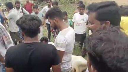 বরাবাজার: তুমড়াশোল মোড়ে ১৯ টি গরু বোঝায় গাড়ি আটক করে পুলিশের হাতে তুলে দিল  স্থানীয় বাসিন্দারা