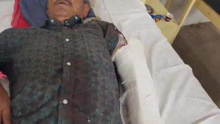 ब्यावर: रामगढ़ क्षेत्र में भालू के आतंक से तीन लोग घायल, भालू की भी हुई मौत, ग्रामीणों में दहशत का माहौल