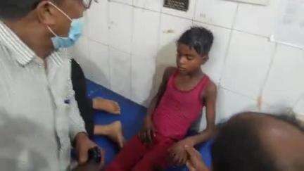 सीतापुर: ओढा झार में जहरीले कीड़े के काटने से बच्चे की बिगड़ी हालत, उपचार जारी