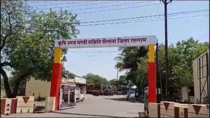 सैलाना: कृषि उपज मंडी सैलाना में आज सोयाबीन ₹3251 से ₹5656 प्रति क्विंटल बिका, अन्य उपज की भी आवक हुई