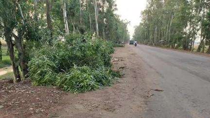 নারায়ণগড়: প্রবল ঝড় ও বৃষ্টিতে ঠাকুরচক এলাকায় রাজ্য সড়কের উপর ভেঙে পড়লো একাধিক গাছ, সমস্যা যান চলাচলে #jansamasya