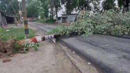 पूर्णिया पूर्व: तेज आंधी और बारिश ने मचाई तबाही, सड़क पर पेड़ धाराशाही, बिजली के तार और पोल भी गिरे