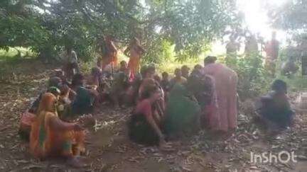 बिंदकी: बांका अकबराबाद गांव में 55 वर्षीय किसान का शव आम के बगीचे में फांसी के फंदे में लटकता हुआ मिला, पुलिस ने शुरू की जांच