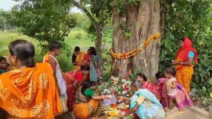 নাকাশিপাড়া: আজ  ষষ্ঠী পুজো সেই উপলক্ষে বেথুয়াডহরীর বিভিন্ন স্থানে হল ষষ্ঠী পূজার আয়োজন