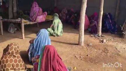 नेपानगर: बाकड़ी में सांप के डसने से 8 साल के मासूम राहुल की मौत, परिवार में कोहराम