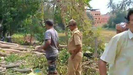 শালবনি: মেদিনীপুরে বিনা অনুমতিতে গাছ কাটার অভিযোগ, মুখ্যমন্ত্রীকে অভিযোগ জানালো বিজেপি
