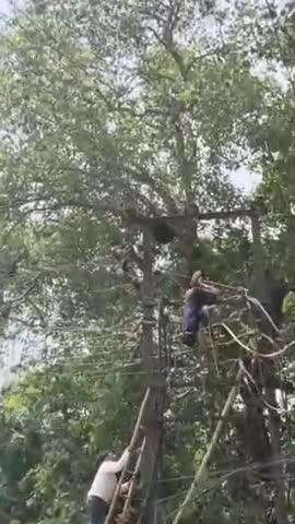 गोरखपुर: कोतवाली थाना क्षेत्र के सुमेर सागर पर बिजली की तार को बिना लाइट कटे जोड़ने के दौरान बिजली कर्मचारियों को लगा करंट