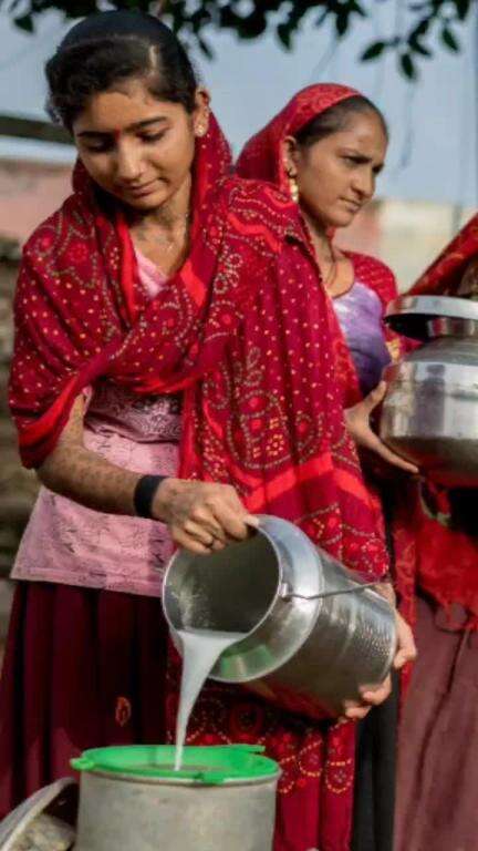 दूध की हर बूंद में है भारत की कहानी।
हर बूँद में है आत्मनिर्भरता की बात,
भारत बना दुग्ध उत्पादन में अग्रिम विराट!
ये सिर्फ दूध नहीं,ये है देश की पहचान।
#WorldMilkDay2025 #DoodhKiShakti #DairyForNutrition #DAHD #SupportDairyFarmers