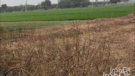 ताल: सरसाना रोड शेरपुर में दो अज्ञात व्यक्तियों ने एक बुजुर्ग के साथ की मारपीट
