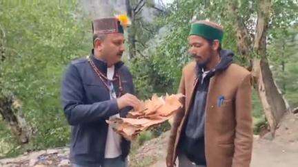 सांगला: किन्नौर के प्रसिद्ध देव इतिहास के जानकार रोहित नेगी और उनके साथियों ने खोज निकाला भोज पत्र पेड़, बताया इतिहास