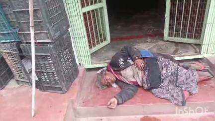 मुंगेर: पंडित दीनदयाल चौक के पास वृद्ध महिला बेहोश होकर गिरी, लोगों ने अस्पताल पहुंचाया