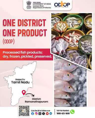 Ramanathapuram, Tamil Nadu
Under #ODOP, the district is boosting local livelihoods through processed fish products – dry, frozen, pickled & preserved.
Empowering coastal communities, enhancing value, and supporting the #BlueEconomy.