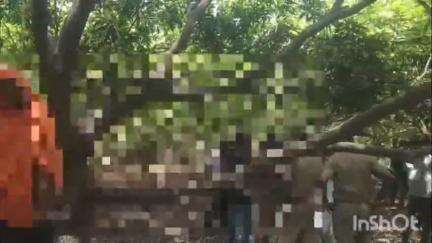 रामसनेही घाट: दरियाबाद में एक बाग में अज्ञात अधेड़ का शव फांसी के फंदे पर लटकता मिला, मचा हड़कंप, पुलिस मौके पर पहुंची और कर रही जांच
