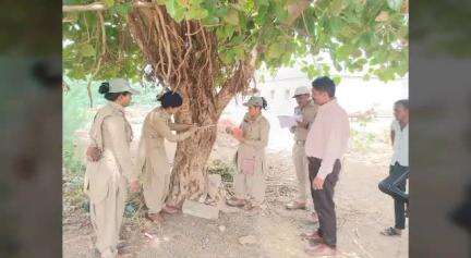 વઢવાણ: વન વિભાગ દ્વારા સુરેન્દ્રનગર જિલ્લામાં ત્રણ દિવસ વૃક્ષોની ગણતરી હાથ ધરવામાં આવી