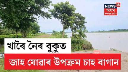 Gohpur Khoroi River Erosion | খাৰৈ নৈৰ গৰাখহনীয়াৰ ফলত ব্যক্তিগত চাহ বাগান সমূহলৈ আহিছে ভাবুকি N18V