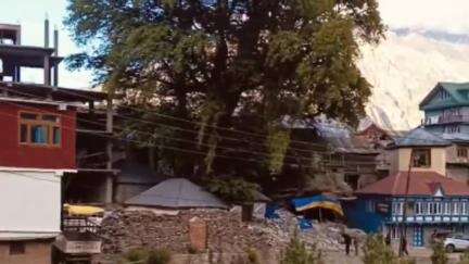 कल्पा: 7 और 8 जून को कल्पा में लिटरेचर फेस्टिवल का किया जाएगा आयोजन, DC किन्नौर ने दी जानकारी