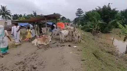উত্তৰ লক্ষীমপুৰ: আমতলাত অপৰিৱৰ্তিত বান পৰিস্থিতি, ৰঙানদীৰ মথাউৰি ছিগাৰ ফলত বানাক্ৰান্ত প্ৰায় ১২শ পৰিয়াল