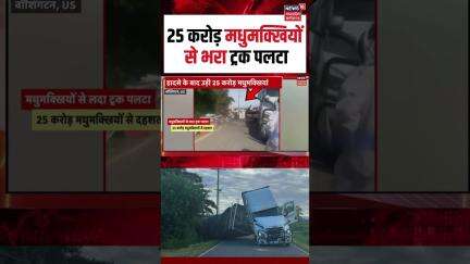 US में 25 करोड़ मधुमक्खियों से भरा ट्रक पलटा । Washington | Viral News | Viral Shorts | US | N18S